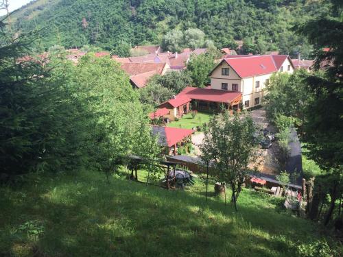 a group of houses on a hill with trees at Pensiunea Domnescu in Sălişte