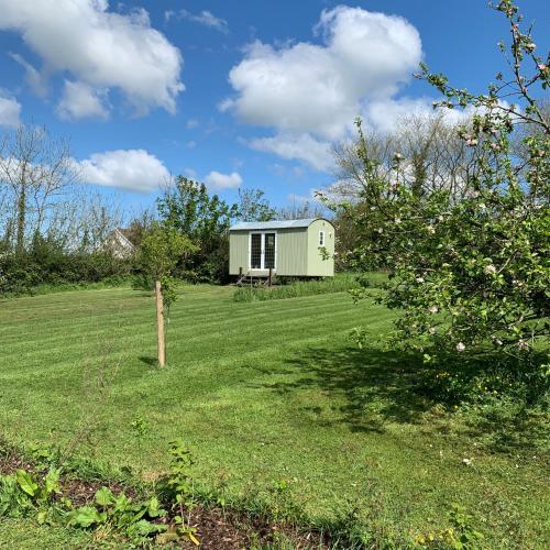 a green house in the middle of a field at Hillcrest Hut in Tenby