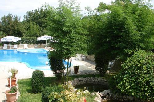 a view of a swimming pool with a tree next to it at Villas Chinara in Kranevo