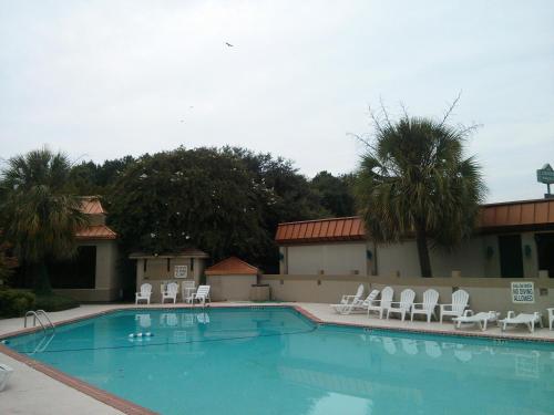 a large swimming pool with white chairs and palm trees at Motel 6-Florence, SC in Florence