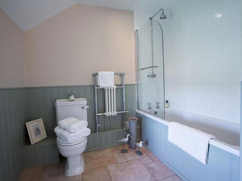 a bathroom with a toilet and a glass shower at Estuary Cottage in Penrhos-Lligwy
