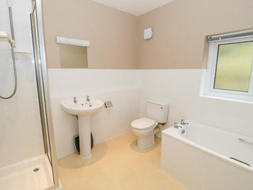 a bathroom with a sink and a toilet and a bath tub at The Dene in Betws-y-coed