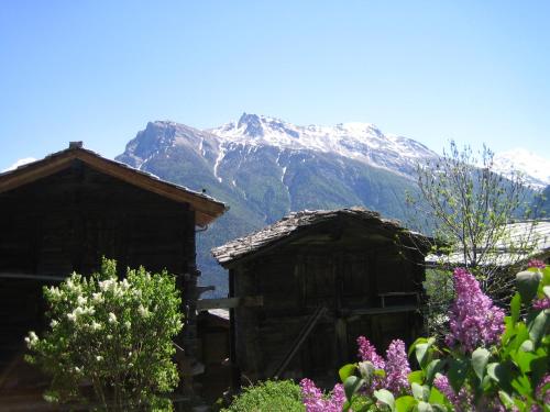 a mountain in the distance with two huts and flowers at Haus Bachhüs - Wohnungen mit Balkon und Bergsicht in Blatten bei Naters