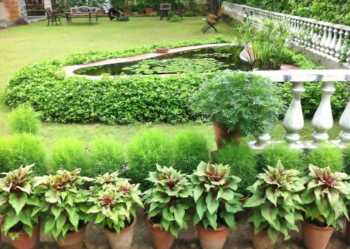 Un jardín fuera de Hotel Jai Niwas