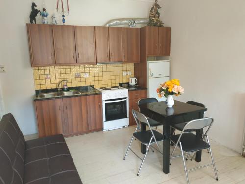 a kitchen with a table with chairs and a sink at Spiridoula's Apartments Corfu in Perama