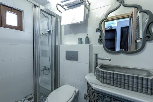 a bathroom with a shower and a toilet and a mirror at Masal Apart in Istanbul