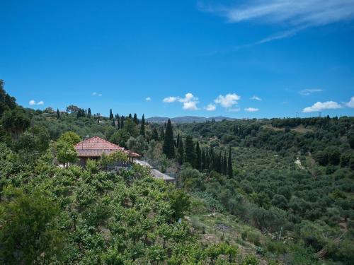 a house on the side of a hill with trees at Guesthouse Agia Triada in Koroni