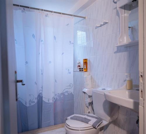 a bathroom with a shower and a toilet and a sink at Guesthouse Agia Triada in Koroni