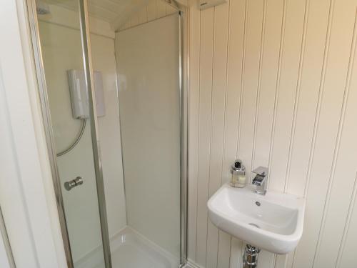 ein Bad mit einer Dusche und einem Waschbecken in der Unterkunft Bellwether in York