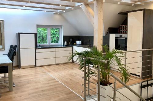 a kitchen with white cabinets and a table with a plant at Green Buda Valley: Holiday home with garden in Budapest