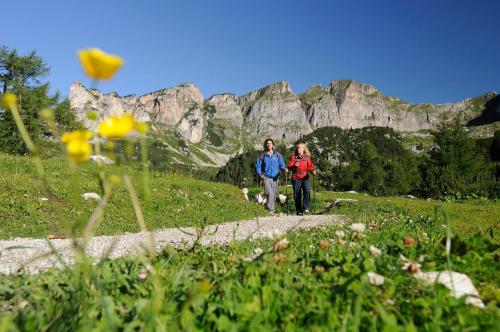 two people walking in a field with mountains in the background at Haus Bauer in Pertisau