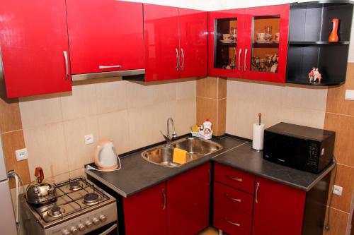 Kuchyň nebo kuchyňský kout v ubytování Prometheus Apartment