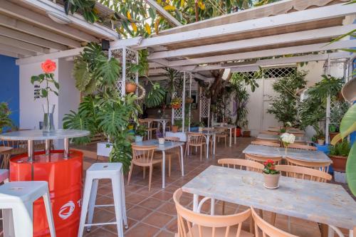un restaurante con mesas, sillas y plantas en Hotel Ramis, en Ondara