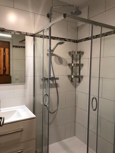 een badkamer met een douche en een wastafel bij Haus Bergsicht Lofer in Lofer