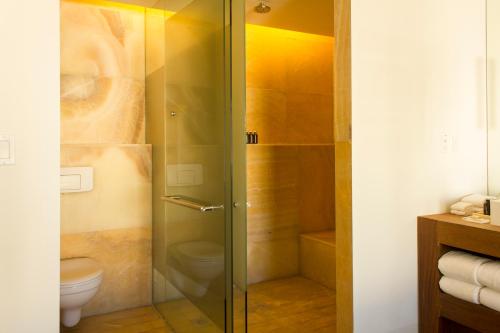 a bathroom with a glass shower with a toilet at La Purificadora, Puebla, a Member of Design Hotels in Puebla