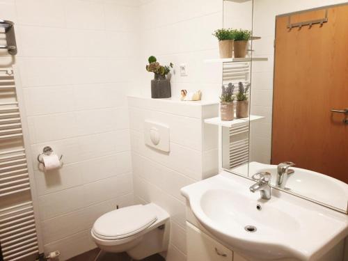 a white bathroom with a toilet and a sink at Red Rose Apartment in Moravske Toplice