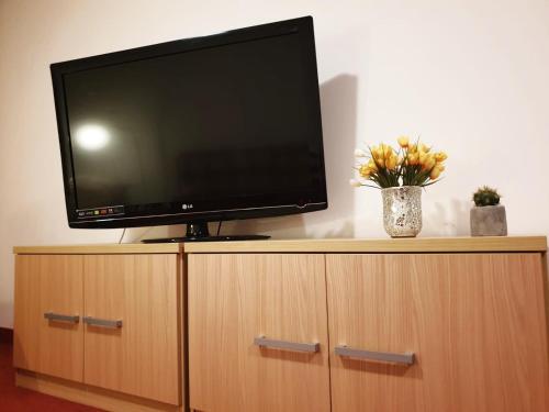 a flat screen tv sitting on top of a wooden cabinet at Red Rose Apartment in Moravske Toplice