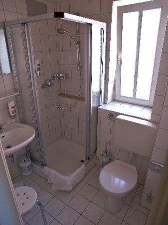 a bathroom with a shower and a toilet and a sink at Zur Alten Schmiede in Naumburg
