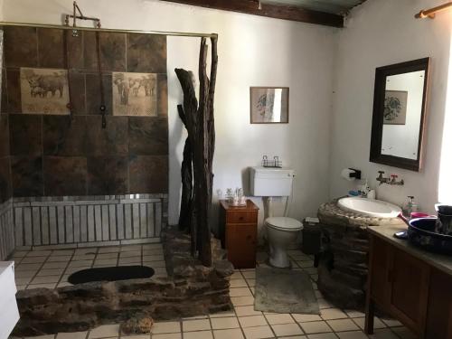 a bathroom with a shower and a toilet and a sink at Kromrivier Farm Stays and Addo B & B in Paterson