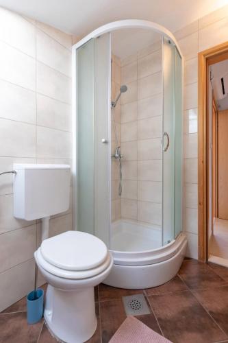 a bathroom with a toilet and a shower at Emily Apartment in Suđurađ