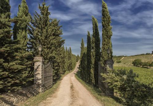 a dirt road through a fence with trees at Relais Santa Cristina in Radda in Chianti