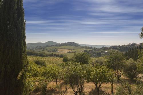 a view of a field with trees and hills at Relais Santa Cristina in Radda in Chianti