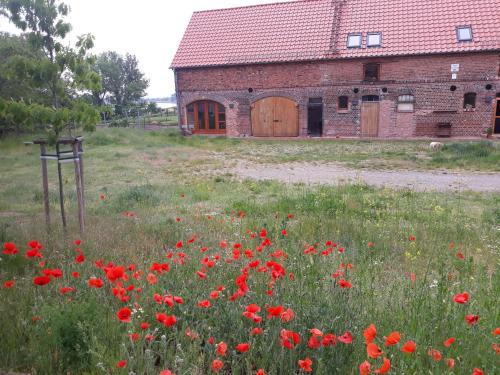 Zahrada ubytování An den Elbwiesen GZ FeWo Elbeblick Nur Nichtraucher