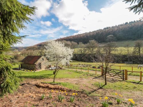 Thompson Rigg Barn – Photos 2