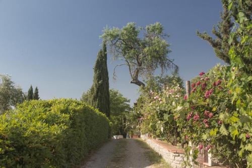 a dirt road with bushes and trees and flowers at Relais Santa Cristina in Radda in Chianti