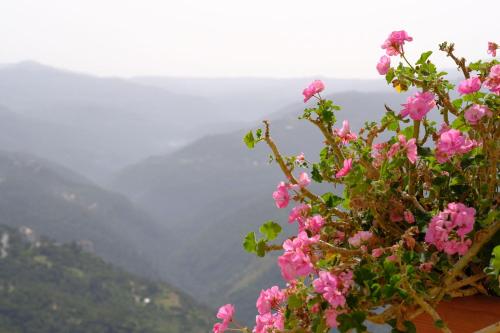 Un paisaje natural cerca del hotel