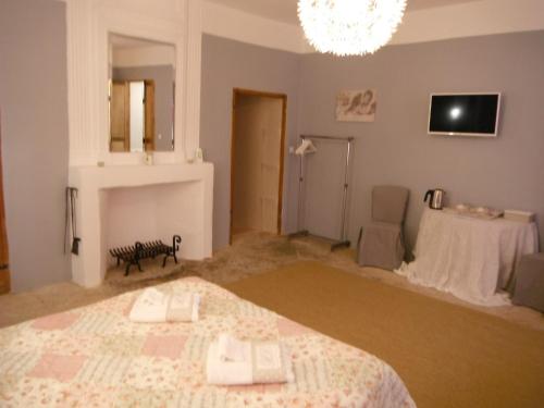 a bedroom with a bed and a chandelier at Le Temps d'un Rêve in Mazan