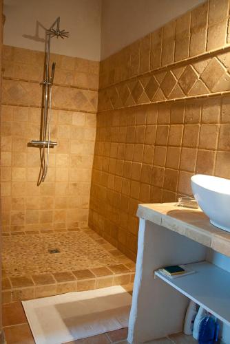 a bathroom with a shower and a sink at Le Temps d'un Rêve in Mazan