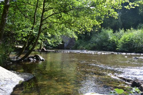 a river with trees and rocks in the water at Gîte La Clef des Champs in Libin