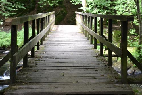 a wooden bridge over a stream in a forest at Gîte La Clef des Champs in Libin