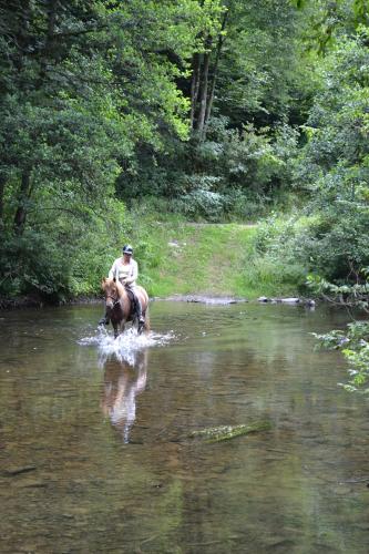 a man riding a horse through a river at Gîte La Clef des Champs in Libin