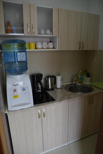 Η κουζίνα ή μικρή κουζίνα στο Villa Dudanov
