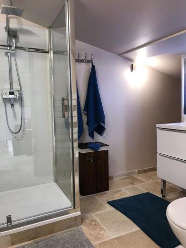 une salle de bain avec douche et toilettes dans l'établissement Cosy Studio Cours Lafayette 