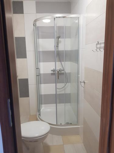 La salle de bains est pourvue d'une douche et de toilettes. dans l'établissement Willa Maria, à Łagów