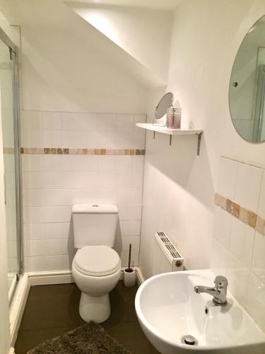 a bathroom with a toilet and a sink at Summerfield House in Birmingham