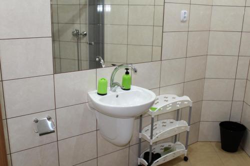 a bathroom with a sink and a mirror at Albatros in Gąski