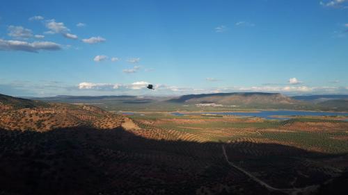 a bird flying in the sky over a valley at VILLA MARIA in Vilches