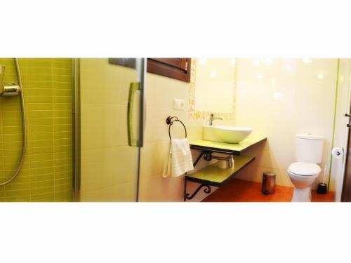 a bathroom with a shower and a sink and a toilet at La Posada de Quijada in Granada