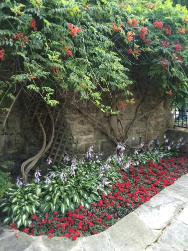a flower bed with red and red flowers at Riverboat Suites in Galena