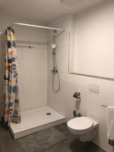 a small bathroom with a toilet and a shower at Ferienwohnung Villa Josephine in Badenweiler