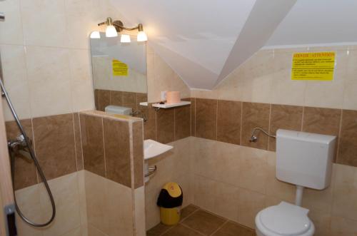 een badkamer met een douche en een toilet bij Mansarda mica cu baie proprie in Cluj-Napoca