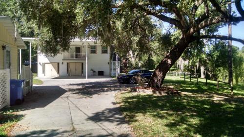 Zahrada ubytování Tampa Lakehouse