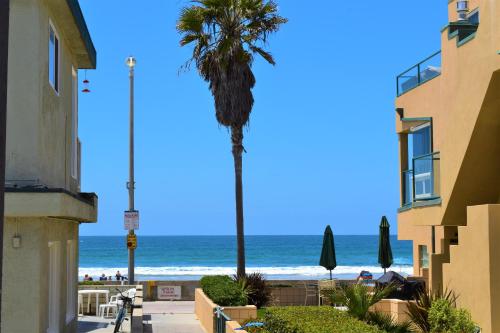 a palm tree next to a beach with the ocean at Luv Oceanside Views-1 House to Beach, Boardwalk and Waves-Spacious Rooftop Sun Deck-Plus King Beds too! in San Diego