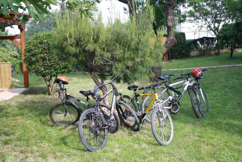 a group of bikes parked in the grass at Holiday Home Radmila in Premantura
