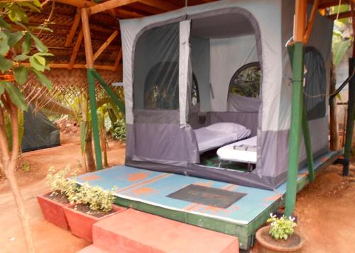 a tent with a bed inside of it at HOMESTAY CAMPING ANURADHAPURA in Anuradhapura