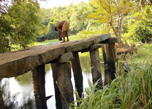 a elephant standing on a bridge over a river at HOMESTAY CAMPING ANURADHAPURA in Anuradhapura